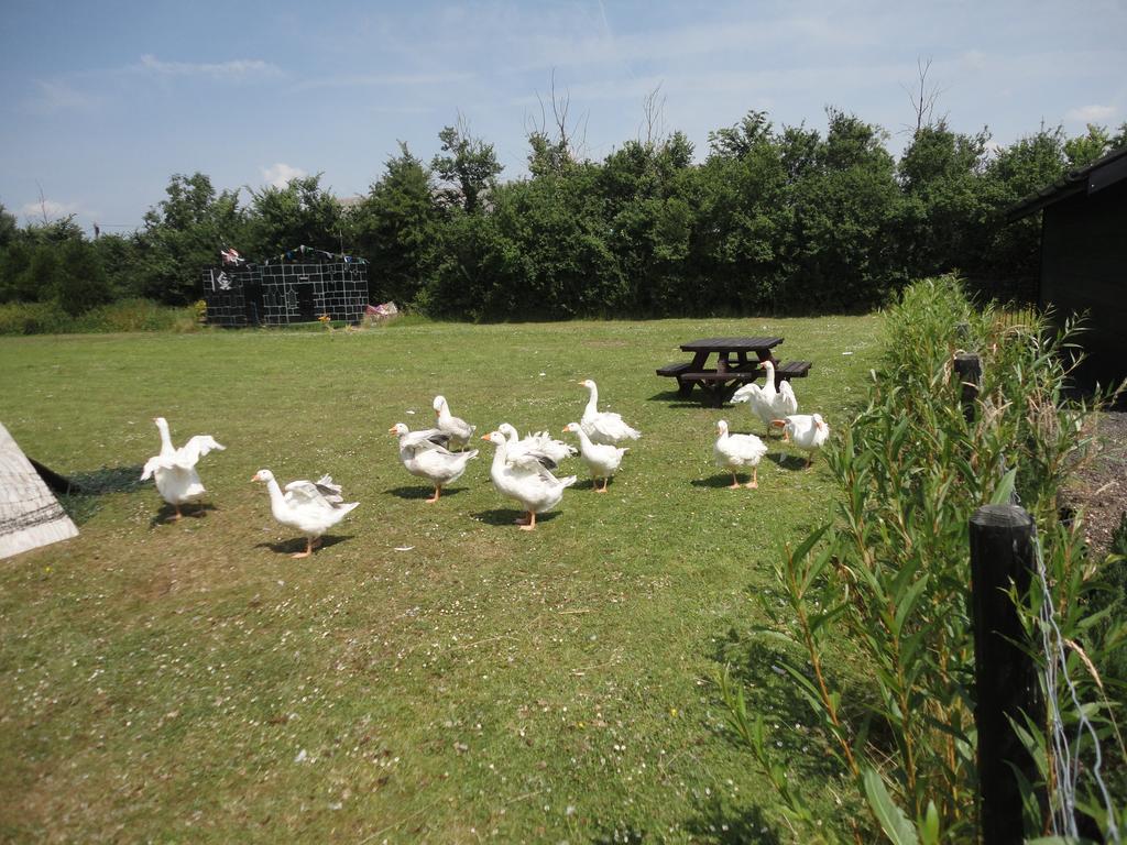 Willow Court Farm The Lodge & Petting Farm, 8 Mins From Legoland & Windsor, 15 Mins From Lapland Uk Zewnętrze zdjęcie