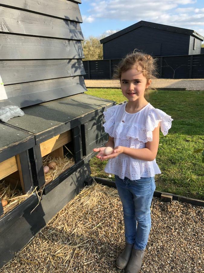 Willow Court Farm The Lodge & Petting Farm, 8 Mins From Legoland & Windsor, 15 Mins From Lapland Uk Zewnętrze zdjęcie