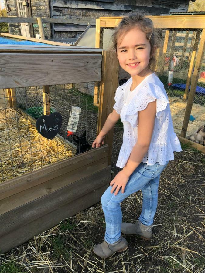 Willow Court Farm The Lodge & Petting Farm, 8 Mins From Legoland & Windsor, 15 Mins From Lapland Uk Zewnętrze zdjęcie