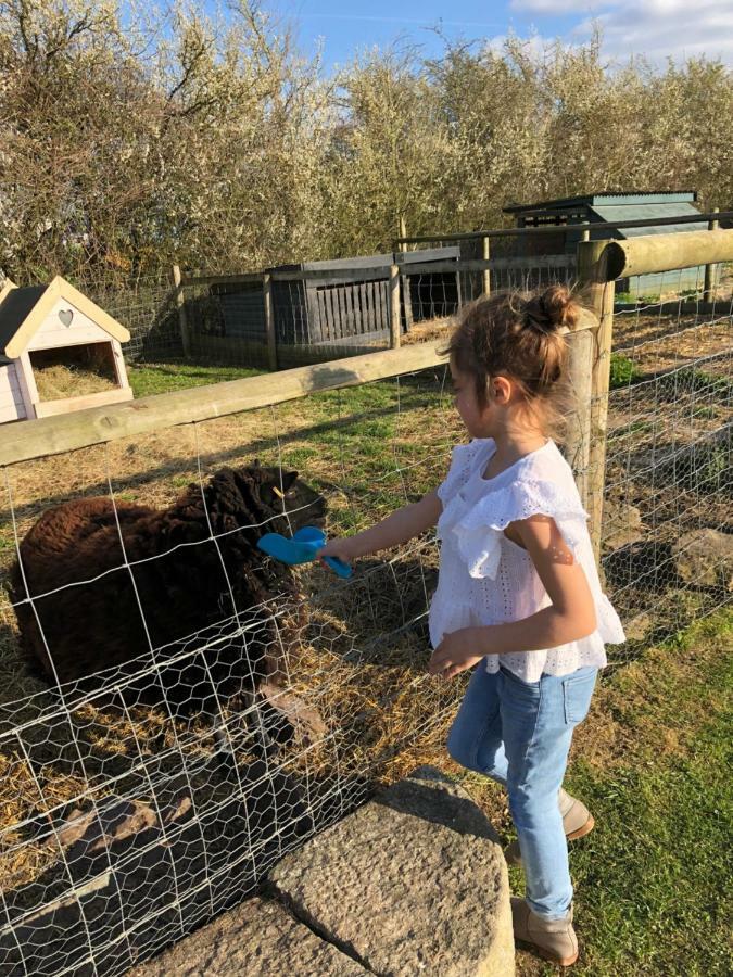 Willow Court Farm The Lodge & Petting Farm, 8 Mins From Legoland & Windsor, 15 Mins From Lapland Uk Zewnętrze zdjęcie