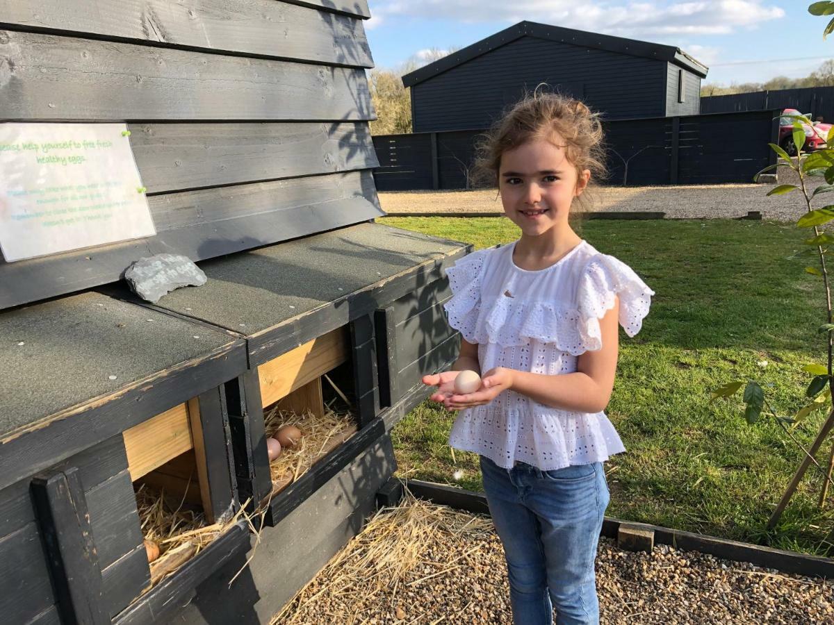 Willow Court Farm The Lodge & Petting Farm, 8 Mins From Legoland & Windsor, 15 Mins From Lapland Uk Zewnętrze zdjęcie
